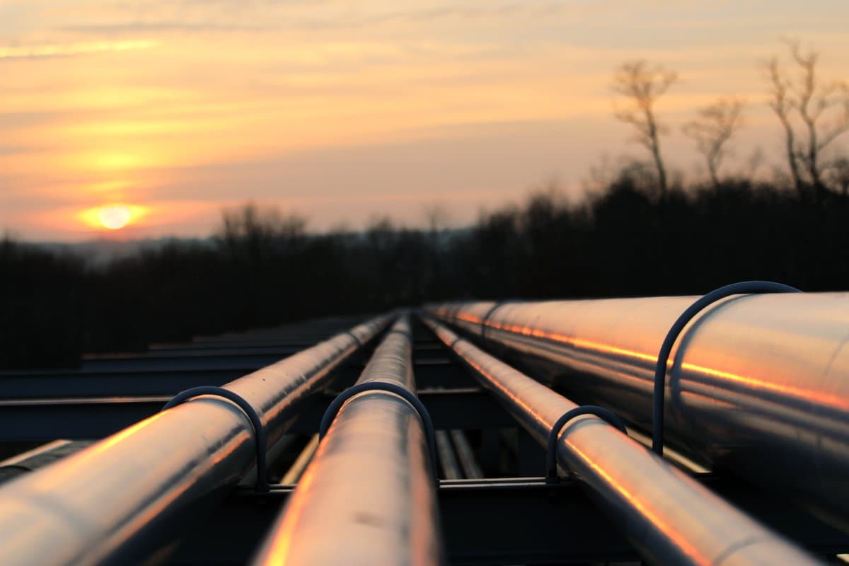 From Field Services to Fovea